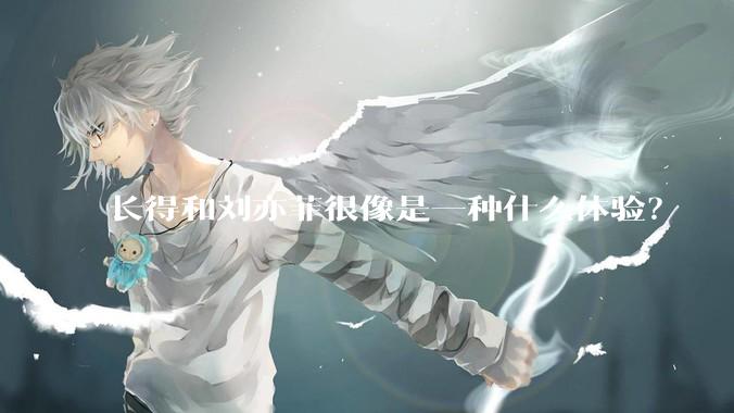 长得和刘亦菲很像是一种什么体验？