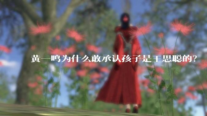 黄一鸣为什么敢承认孩子是王思聪的？
